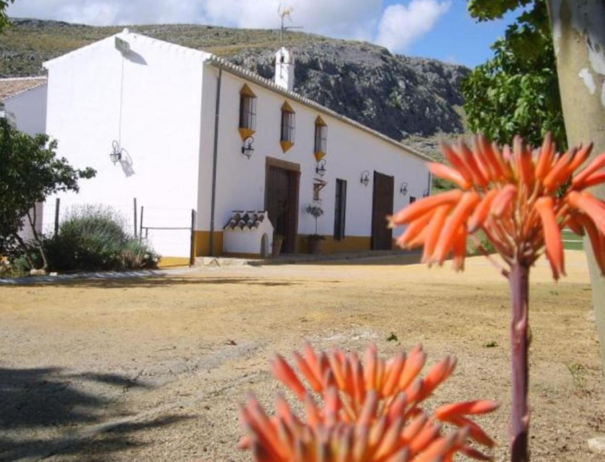 Complejo Cortijo Rural El Puntal Villa Teba Eksteriør bilde